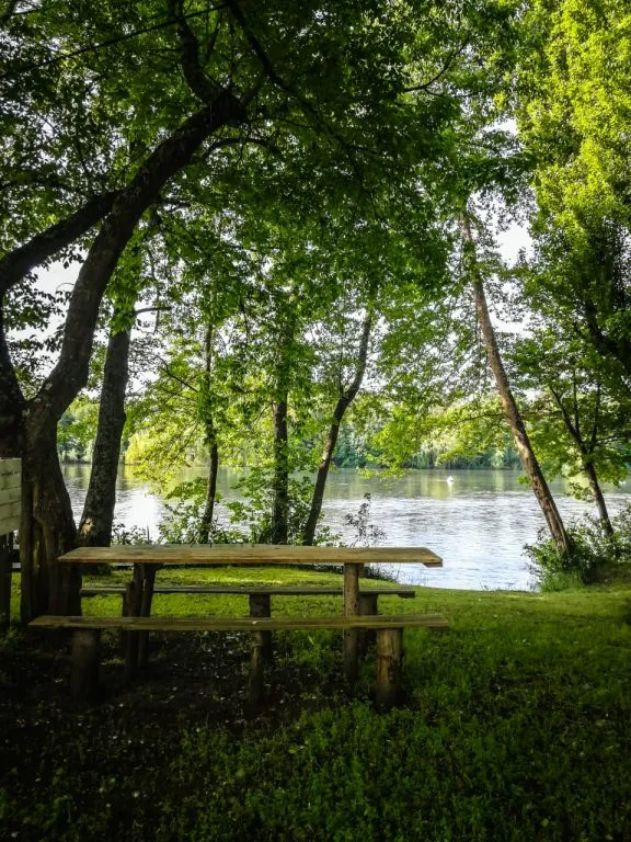 Vista del río Laja a través de los árboles frondosos del camping con cisne en el agua