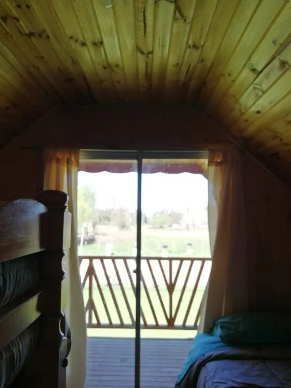 Área de living del hostal con sillones y estantería con vista a los árboles del entorno
